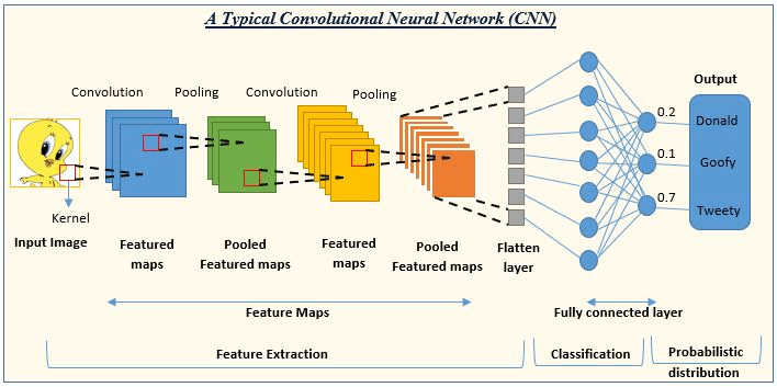 A typical CNN architecture