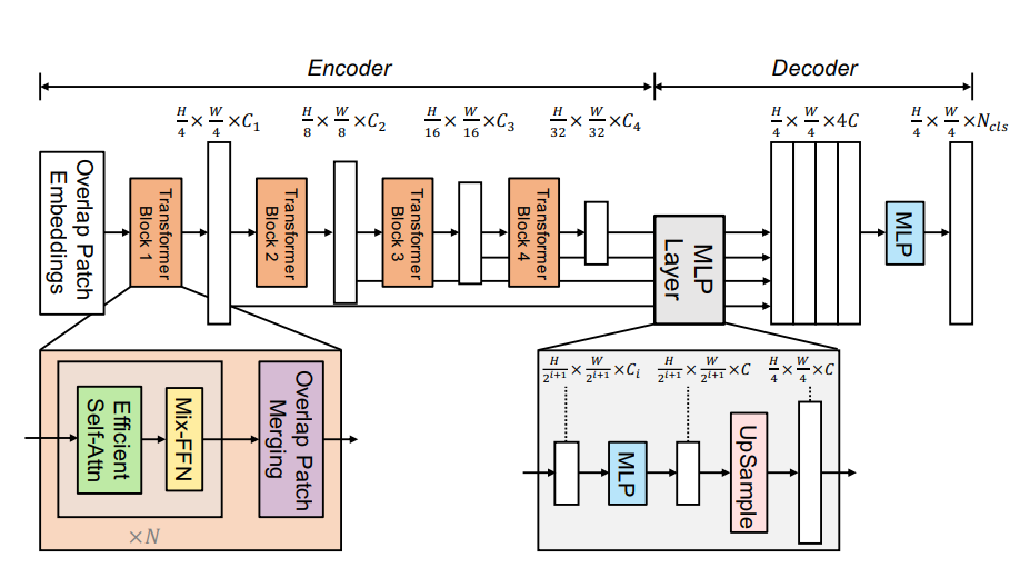 SegFormer architecture. In the global branch, the backbone can be based on the Encoder of the network.